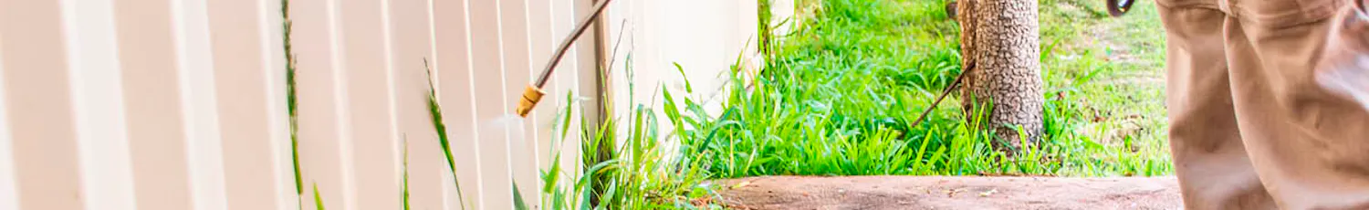 7 godkända ogräsmedel Ogräsmedel